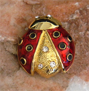 cheerful ladybug
