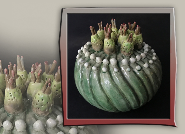 stoneware barrel cactus with concentric geometric buds 