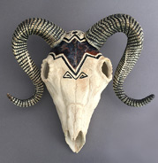 Sheep Skull