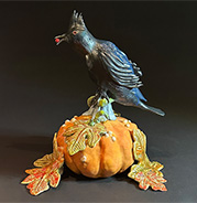 Phainopepla with Pumpkin