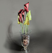 Burgundy Calla Lilies (4) with Leaves.