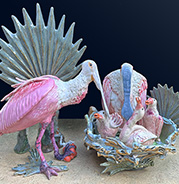 Roseate Spoonbill Family with Saw Palmetto