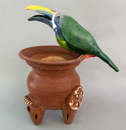 Emerald Toucanet